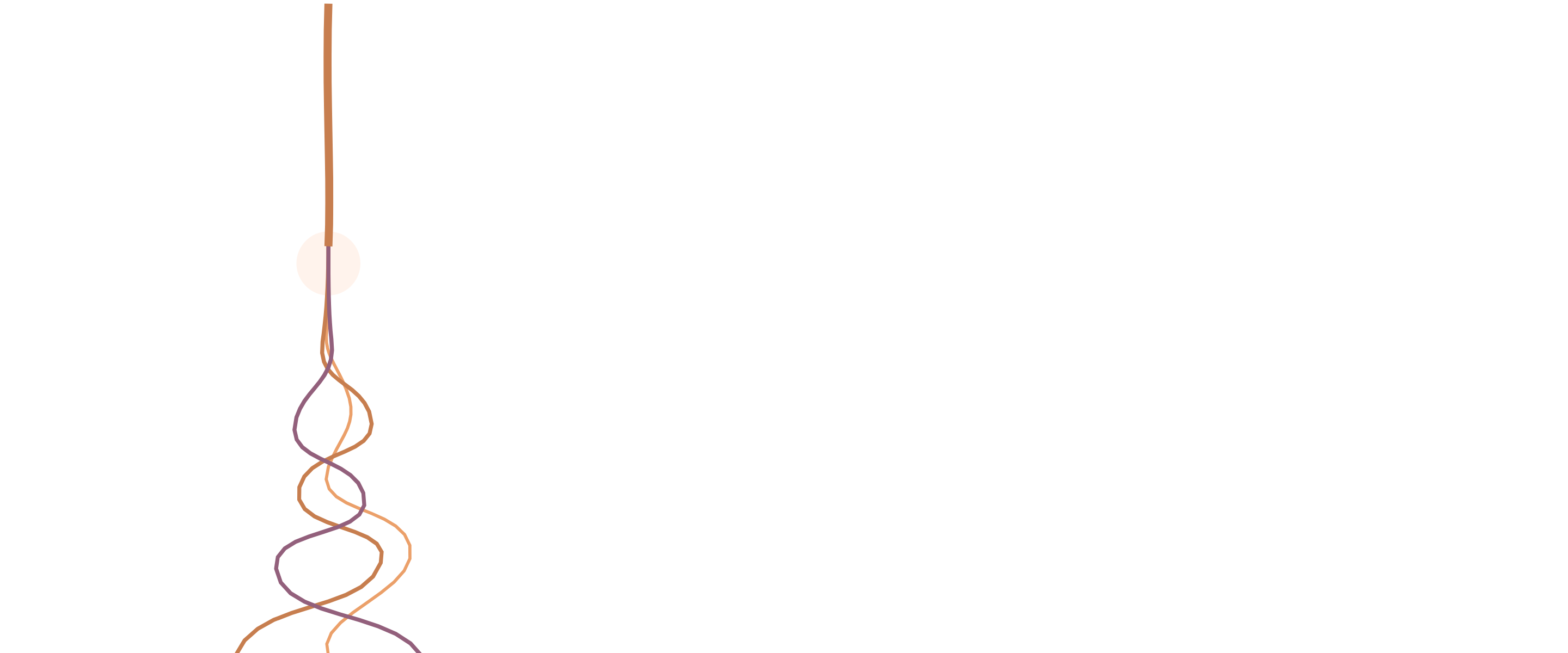 Encounters, møter i nærvær