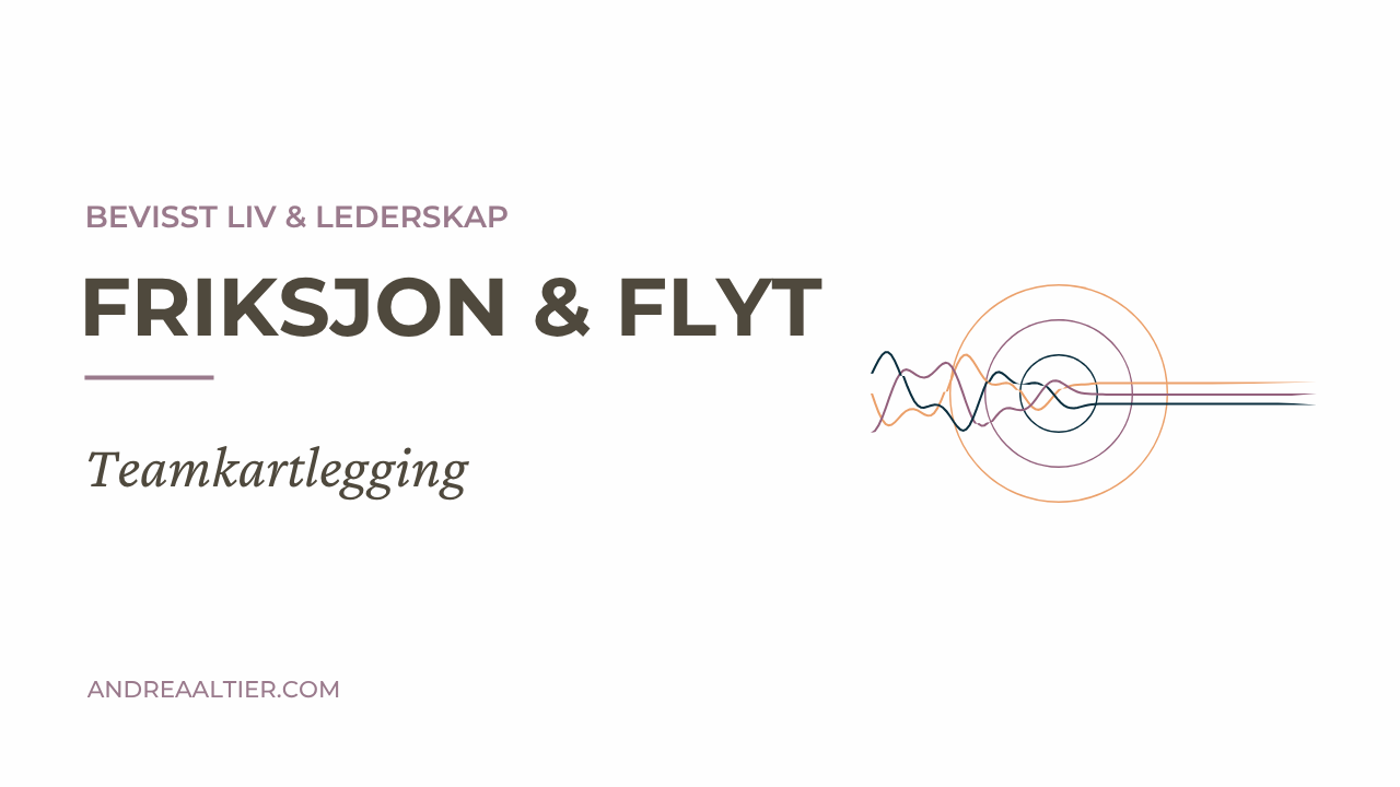 Friksjon & flyt: Teamkartleggingen
