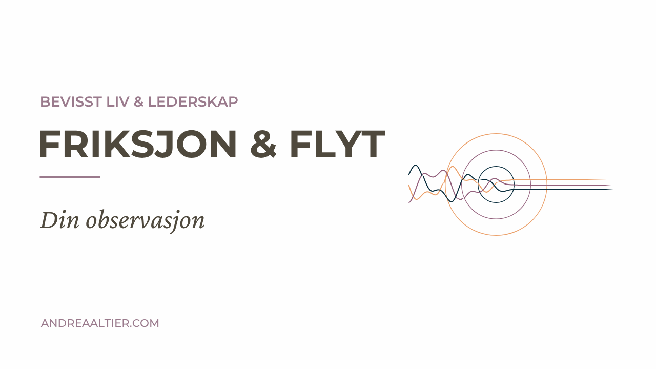 Friksjon & flyt: Din observasjon, Bevisst Liv & Lederskap, Andrea Altier
