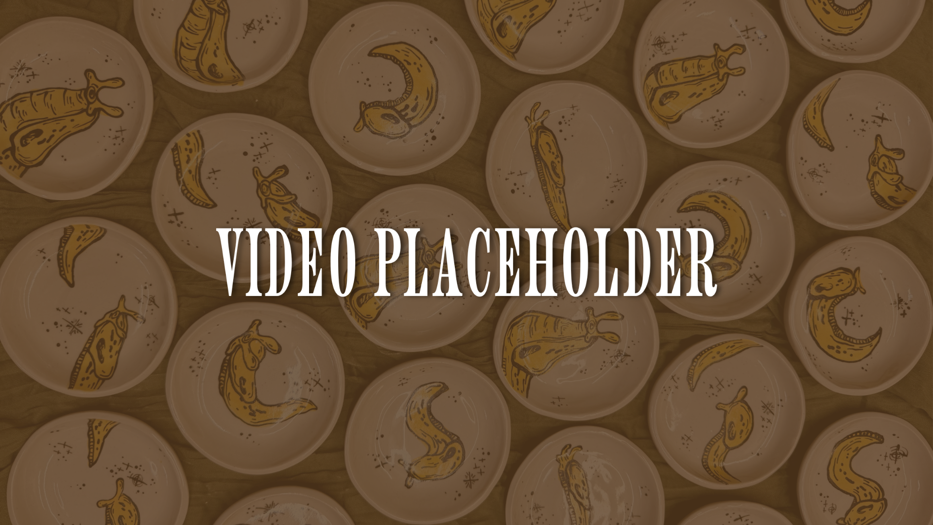 Video Poster Image