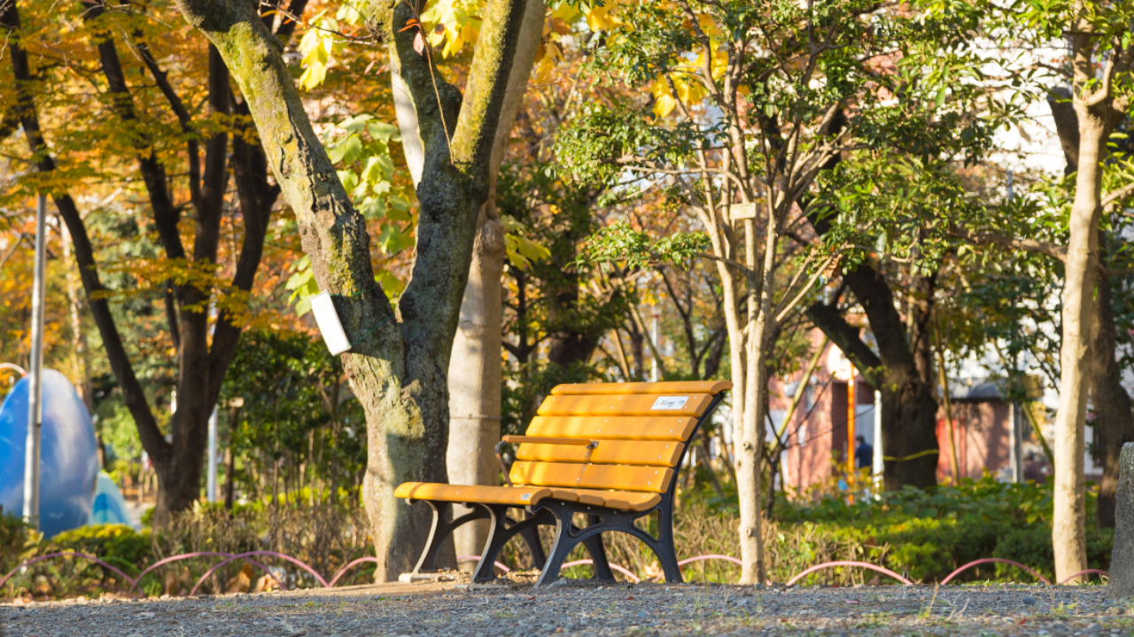 Empty park bench in soft morning light in a quiet park, symbolising reflection and solitude
