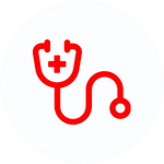 rapid assessment skills icon