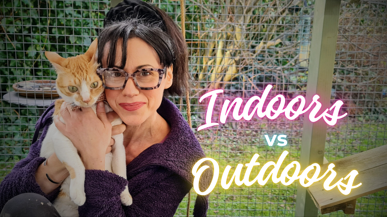 Indoors vs. Outdoors