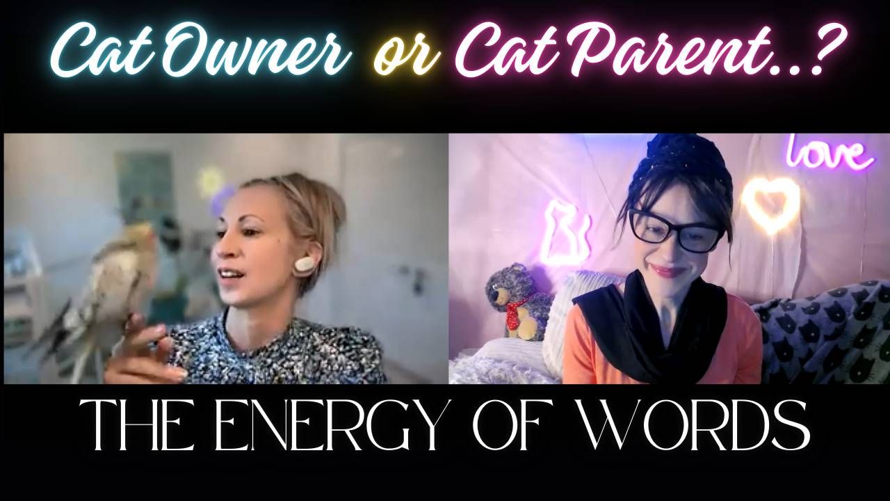 An image of Paola Zanibelli Davies and Shannon Cutts during their interview, with text that says, "Cat Owner or Cat Parent? The Energy of Words"