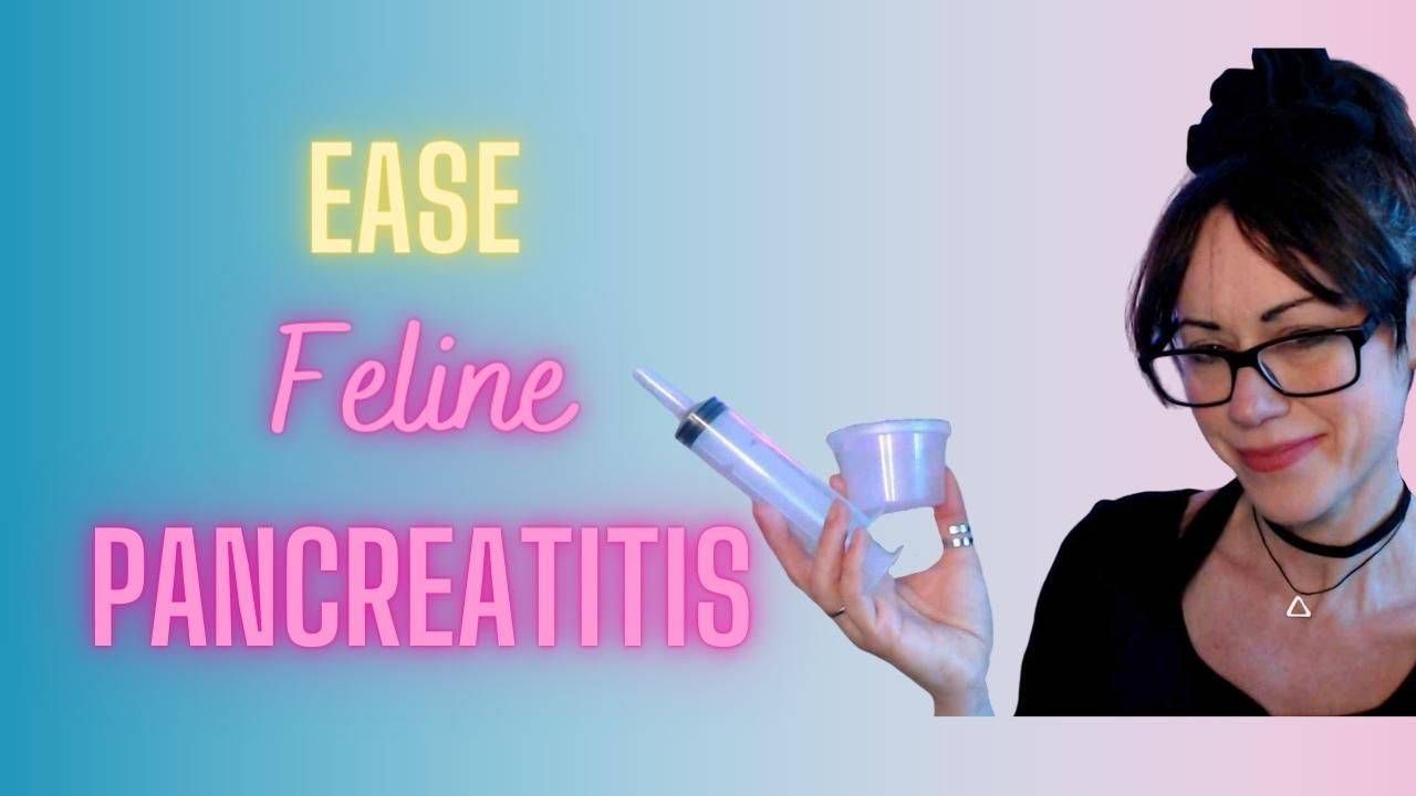 Paola Zanibelli-Davies holding a syringe. The display text reads "Ease Feline Pancreatitis". 