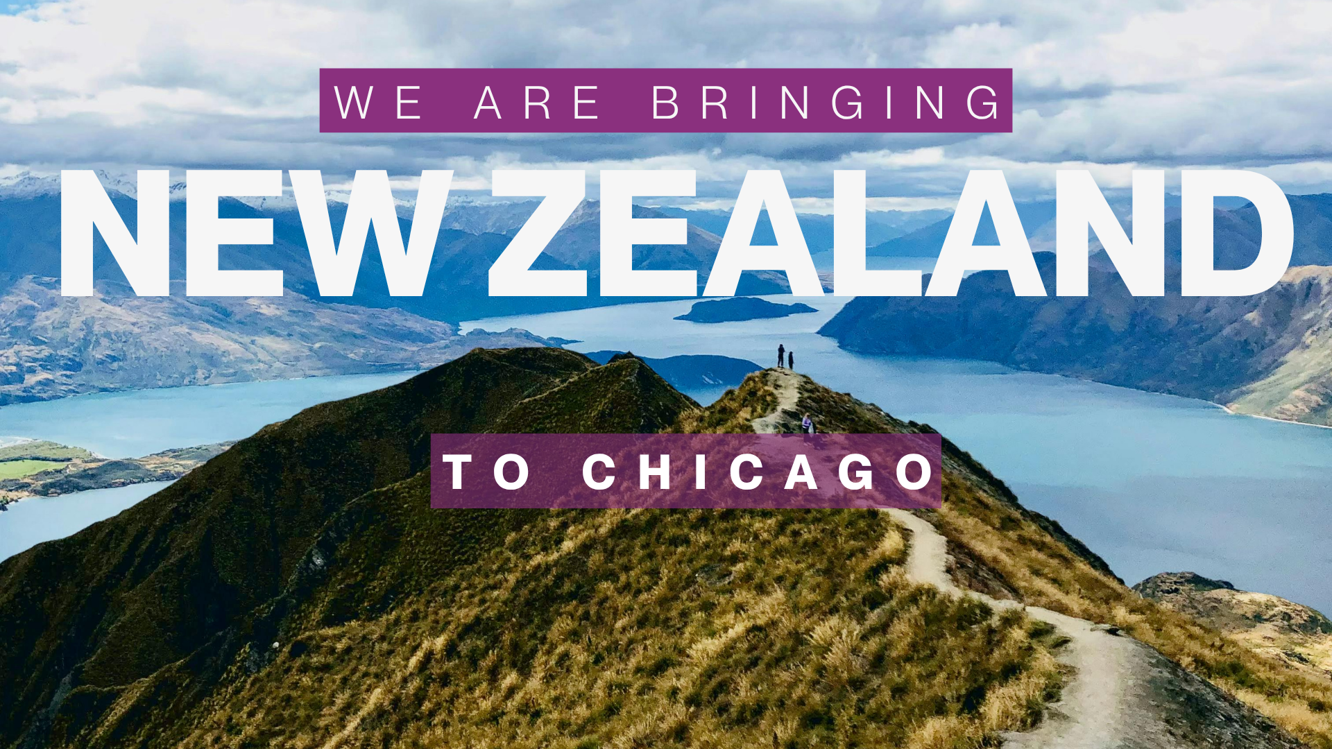 How to Move to NZ Chicago
