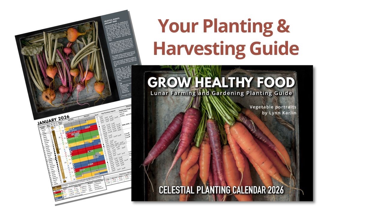 Celestial Gardening 2026: Lunar Planting Guide & Calendar