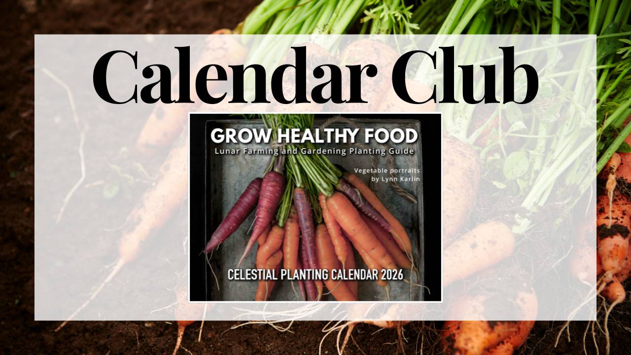Calendar Club Live Workshops