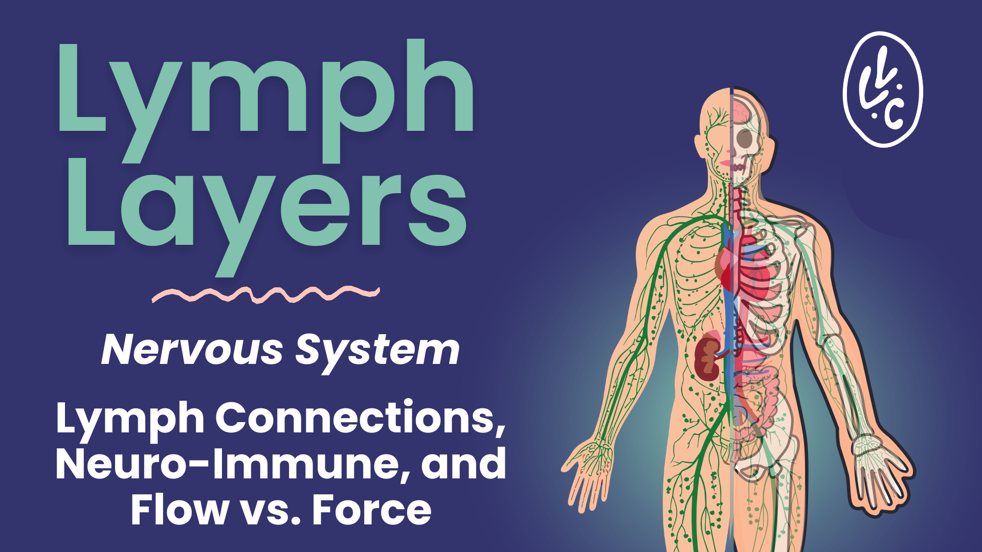 Lymph Layers