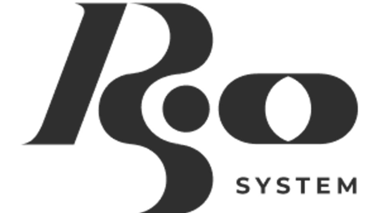 The Rio System - A Method to Move from Chaos to Control