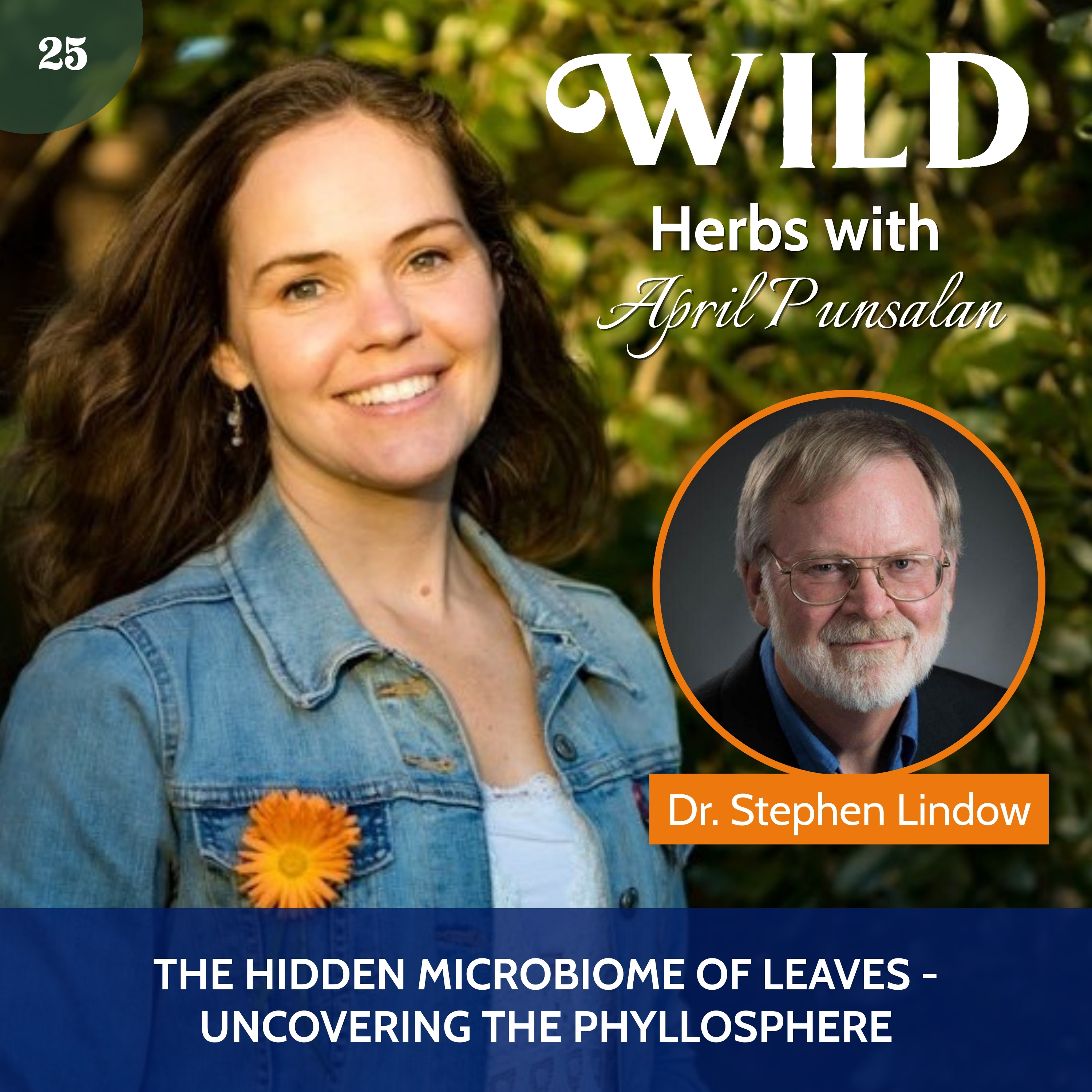 Wild Herbs with April