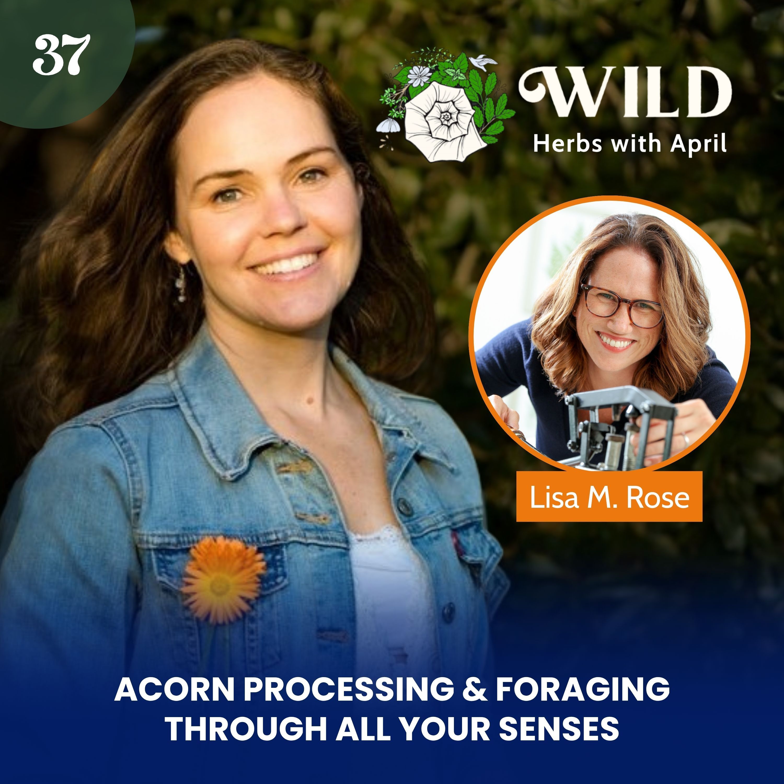 Wild Herbs with April
