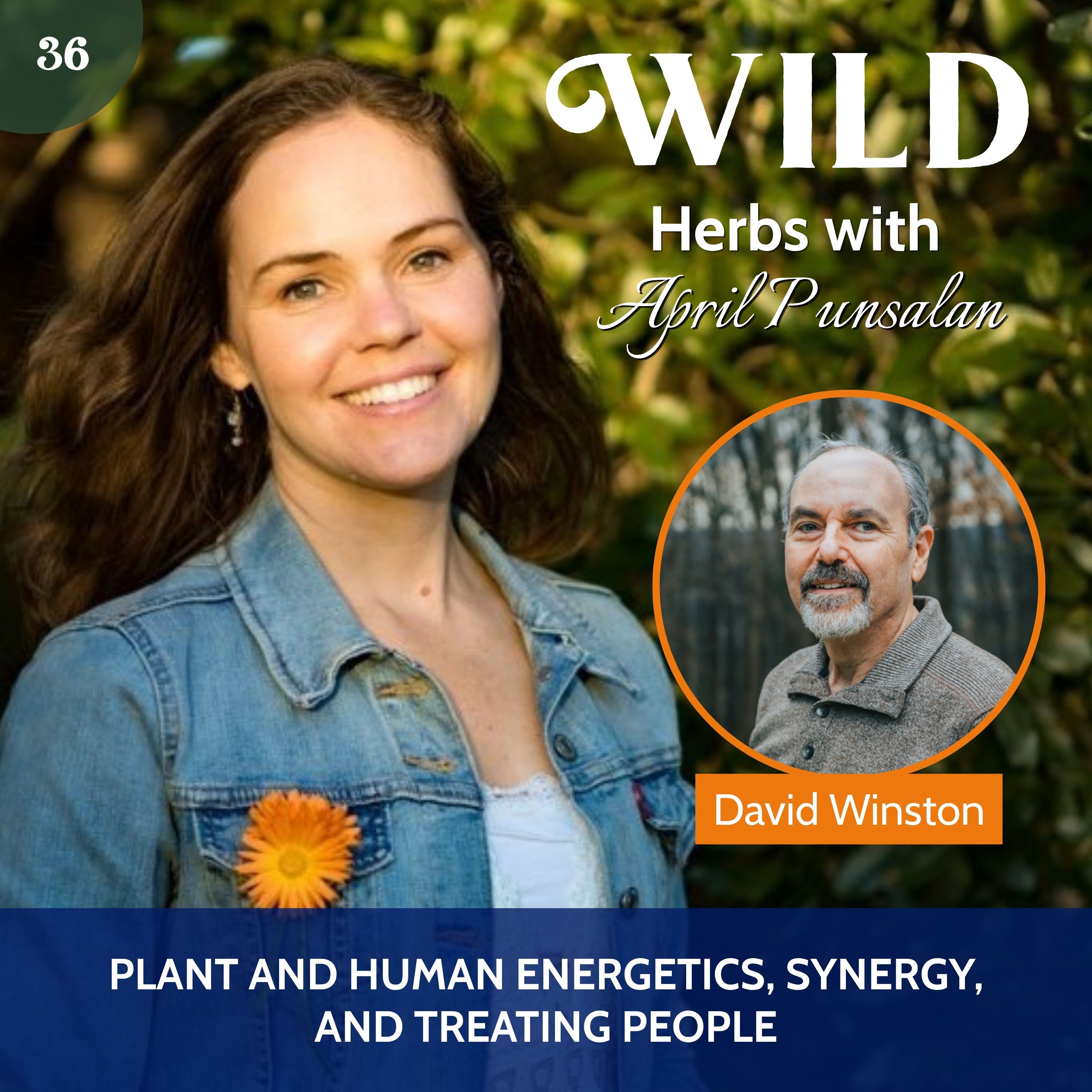 Play #36 Plant And Human Energetics, Synergy, and Treating People with David Winston