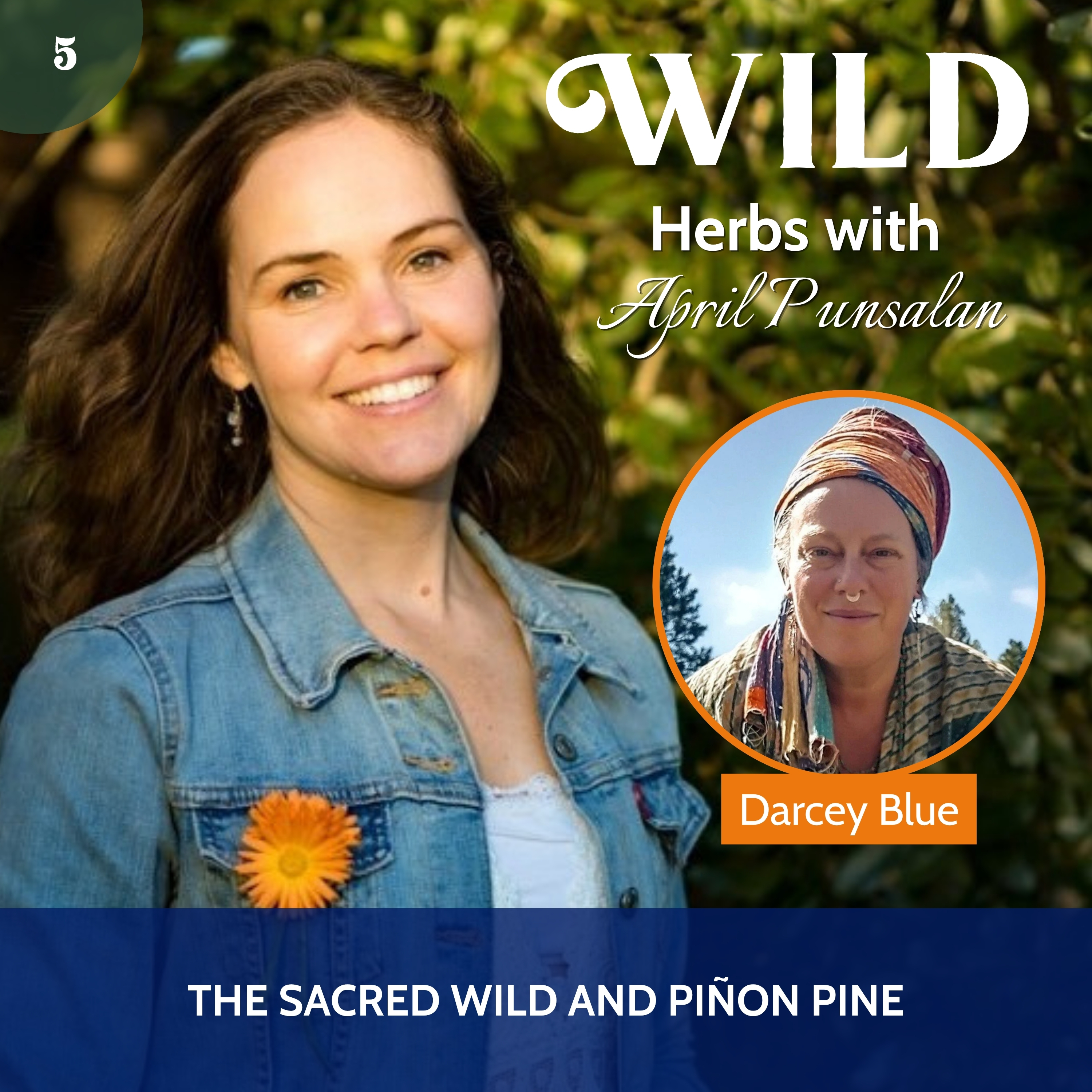 Wild Herbs with April