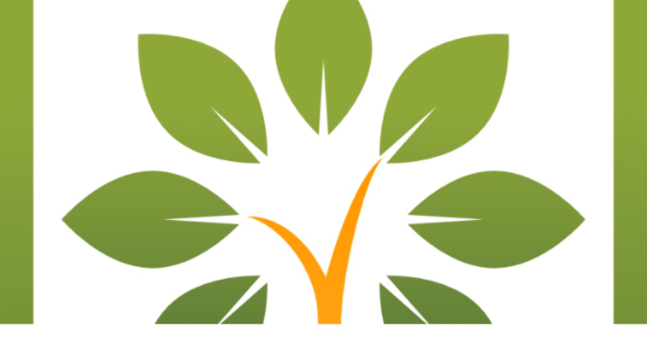 decideyourlegacy.com logo