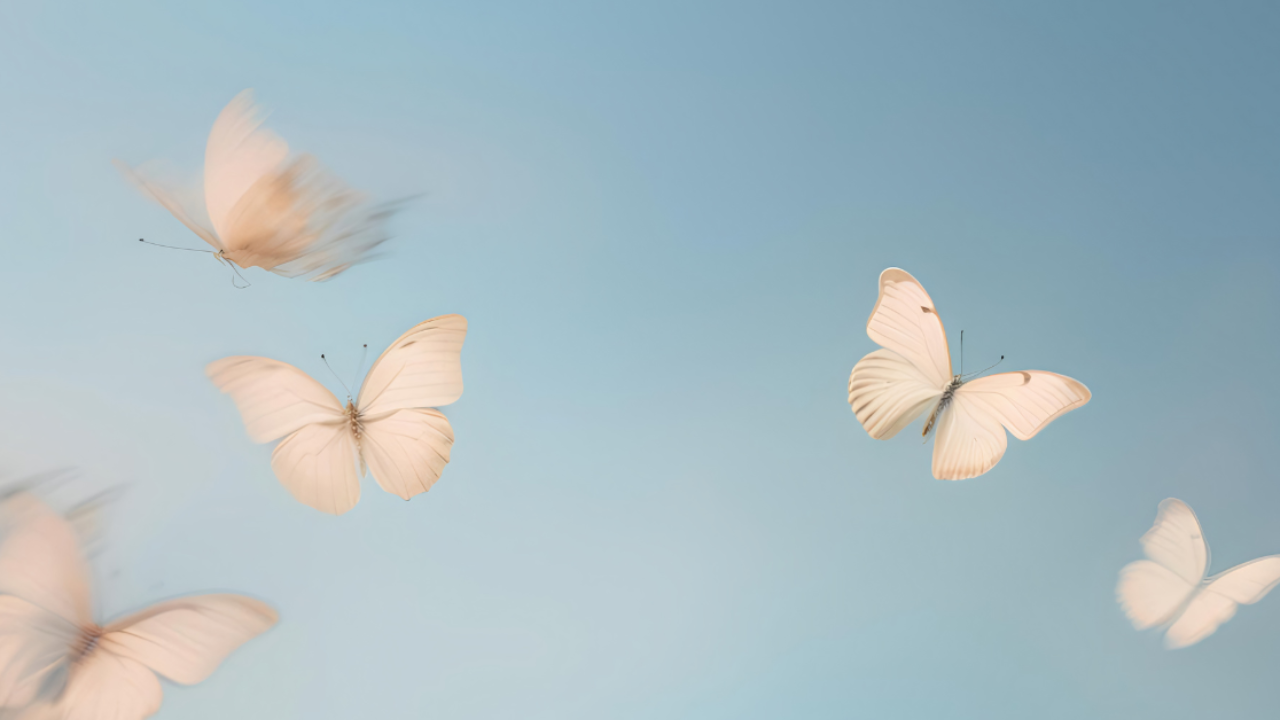 Death, Dying and Letting go