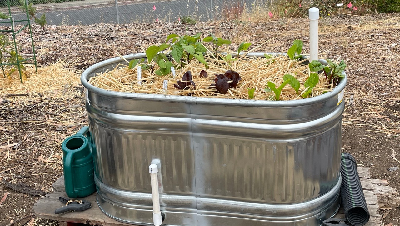 Stock tank conversion for rainwater harvesting
