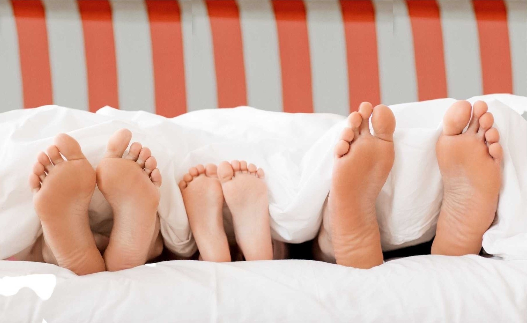 The Sleep Project: Recharge your life with better sleep!