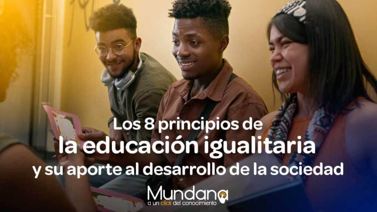 Los 8 principios de la educación igualitaria y su aporte 📝