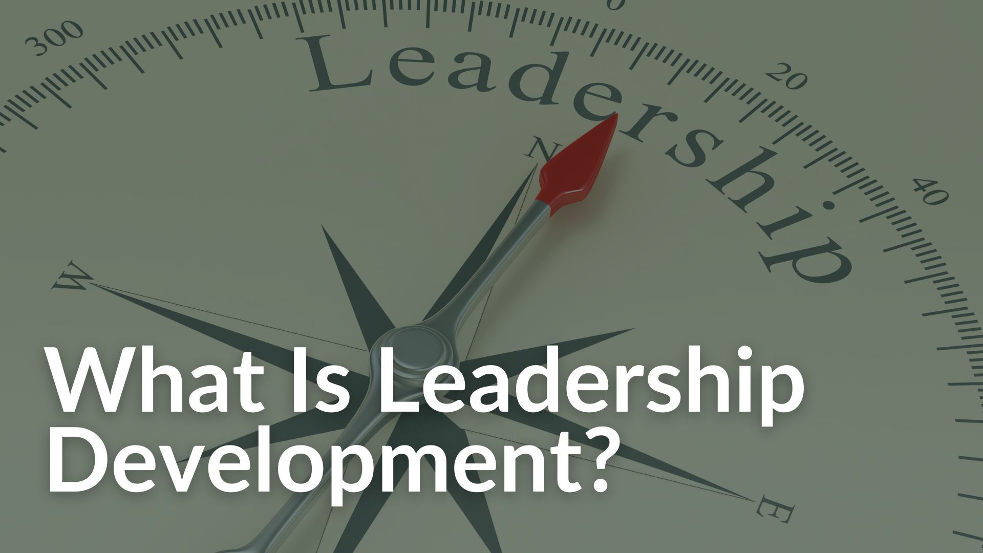 My Daily Leadership Blog Image Showing Compass With Leadership On