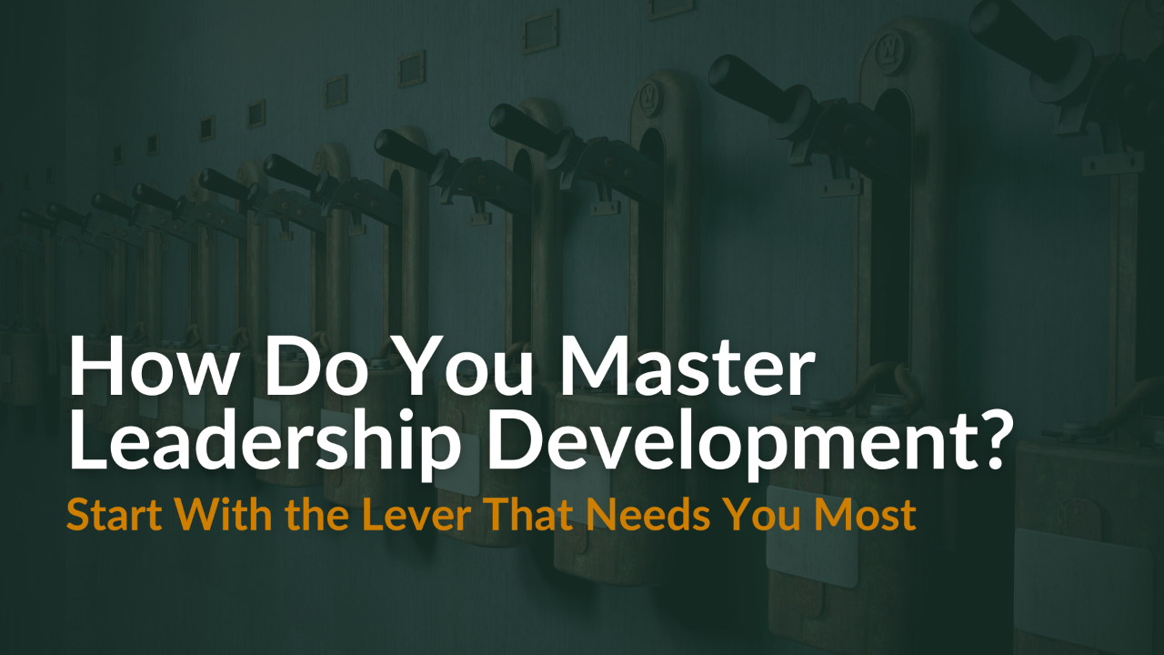 MDL Blog Image Showing Levers in Background on a Wall