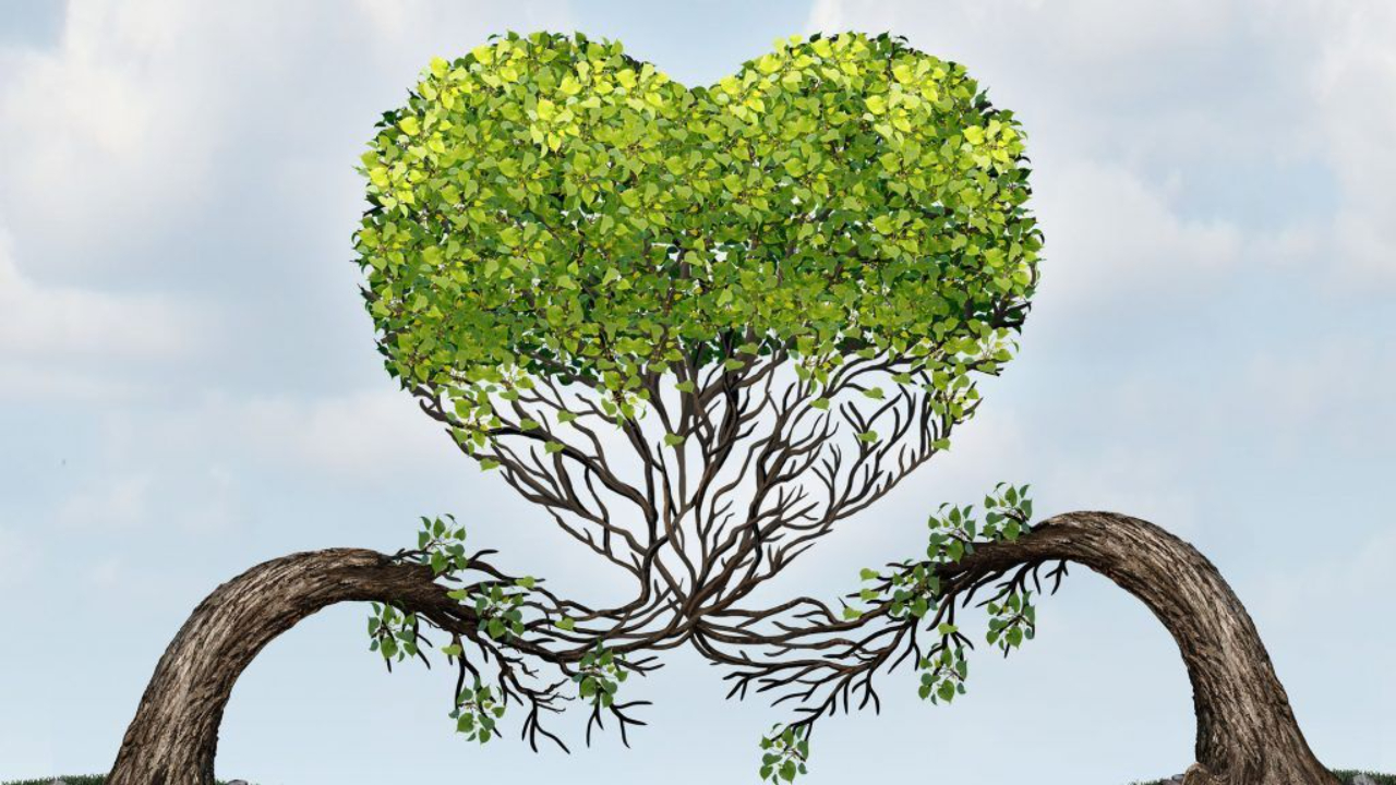 Tree branches coming together to make a woven heart. Healthy relationships are possible with communication skills from a Plymouth, MI couples therapist here!