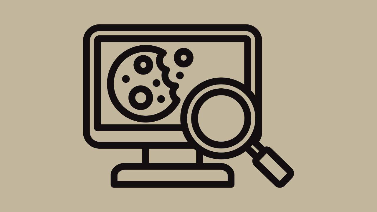 Computer with cookie icon and a magnifying glass