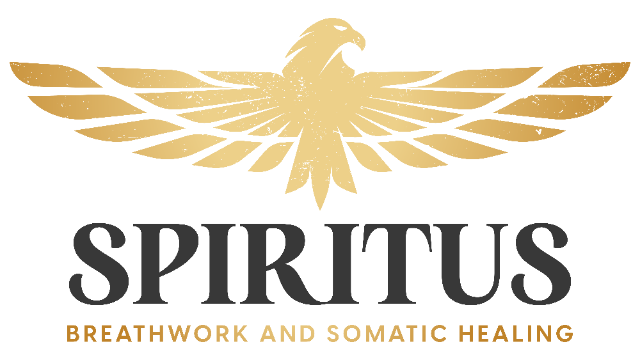 Header Logo