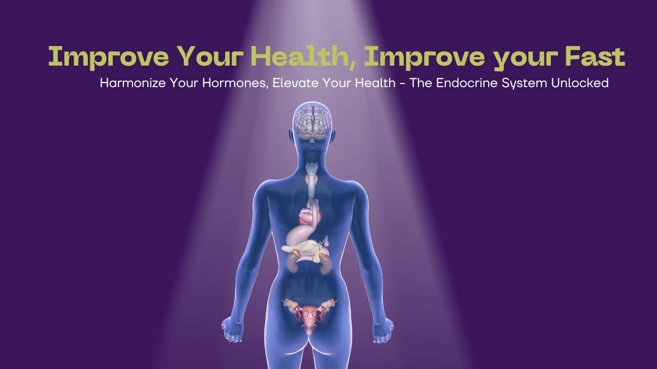 The Endocrine System Unlocked