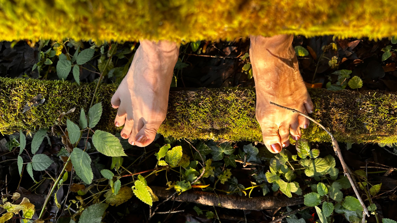 Bare feet standing on soft green moss in a sunlit forest.