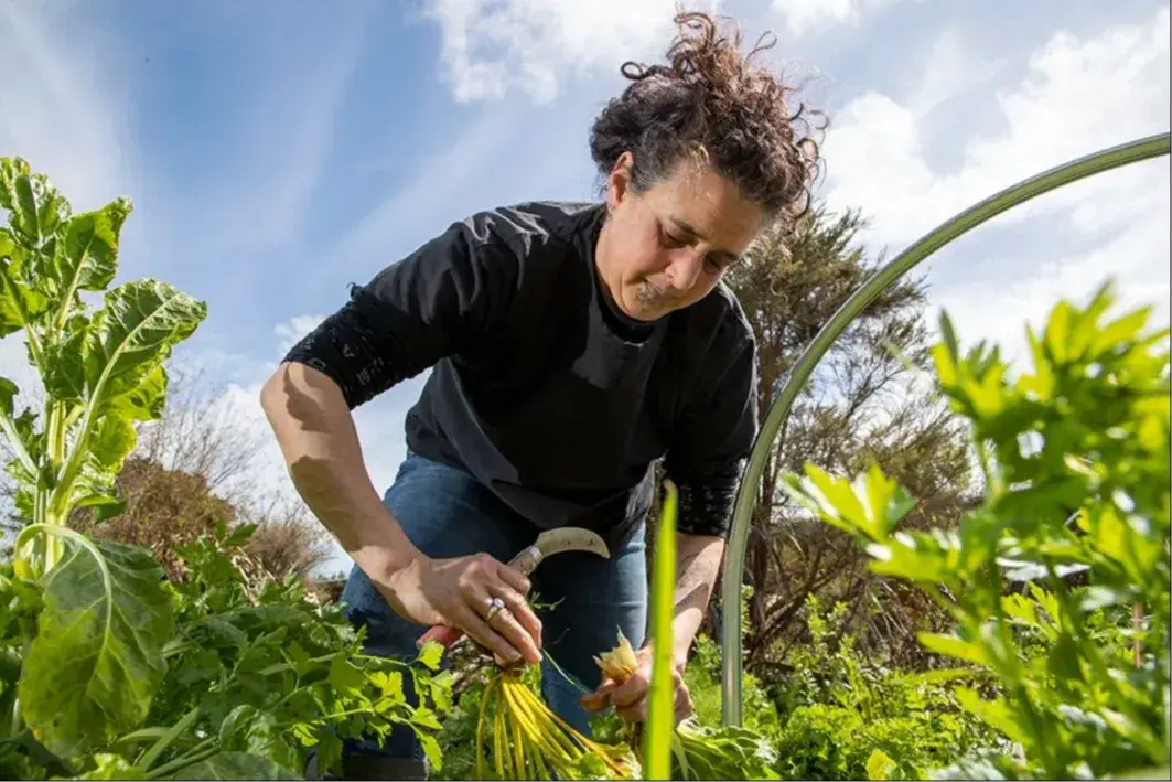 Jess digging in the māra.