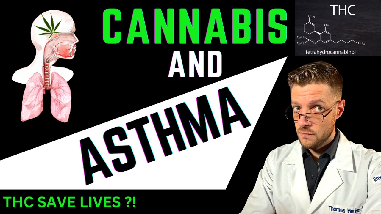 Can Cannabis Help Asthma THC a Bronchodilator