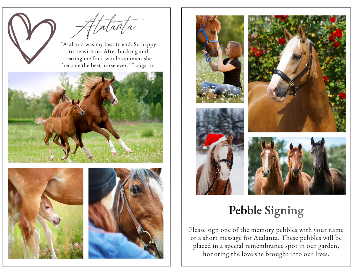 Photo collage pages capturing treasured moments, arranged in a cohesive layout that reflects the beauty, spirit, and lasting presence of a beloved horse.