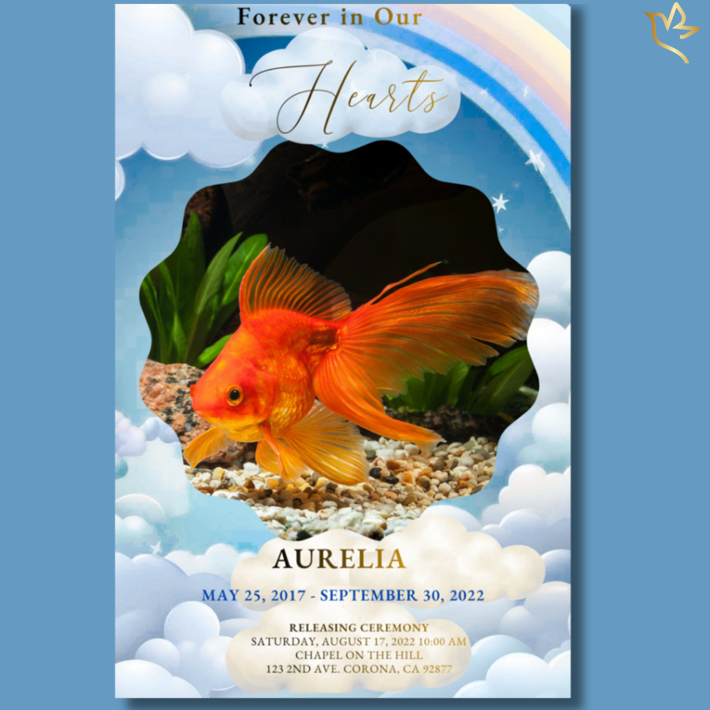 Beyond the Gentle Tide aquatic pet funeral program cover featuring a vibrant orange goldfish inside a soft scalloped frame, surrounded by pastel blue clouds, rainbow arc, and peaceful sky background symbolizing eternal love.