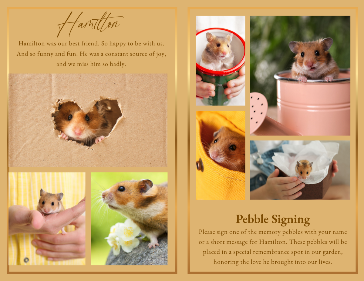 Gentle Legacy photo collage pages featuring cherished photographs of a beloved small pet enjoying playful moments, gentle cuddles, family interactions, favorite activities, and the precious memories that continue to bring comfort and smiles.