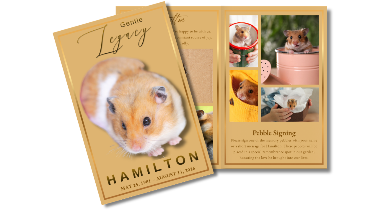 Gentle Legacy funeral program template preview featuring the memorial cover displayed alongside coordinated interior pages for photographs, family memories, personal tributes, life stories, and celebration of life services honoring a beloved small pet.