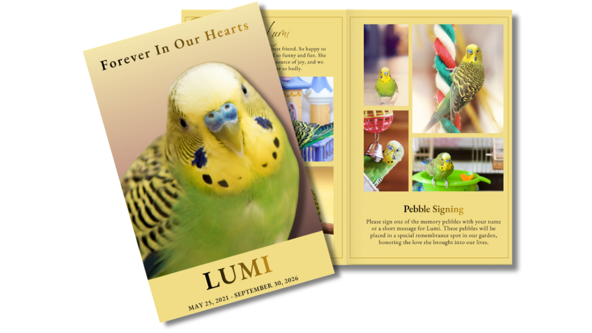 Front Cover and interior pages showing a collage of pet bird photos including a green and yellow budgie playing, perched, and interacting, arranged on a warm golden background with soft borders.