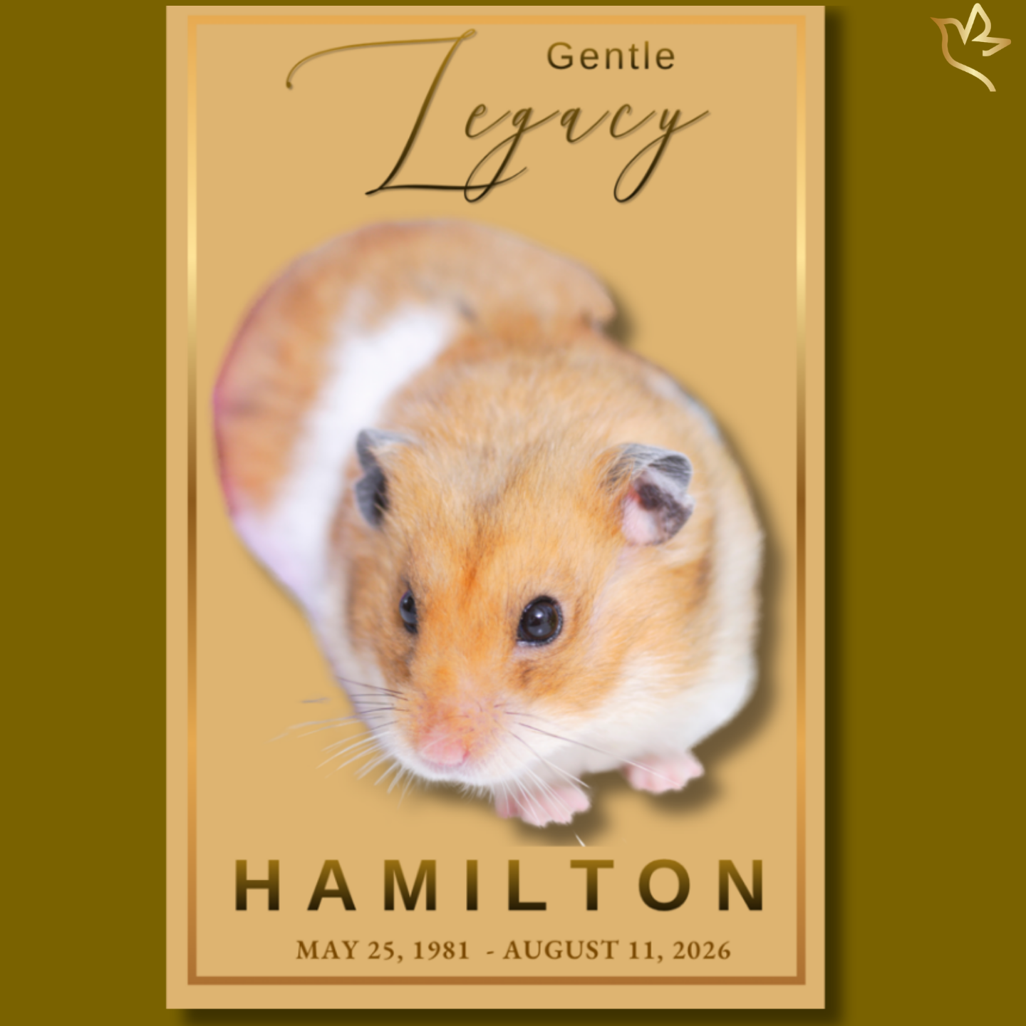 Gentle Legacy funeral program template featuring a warm golden memorial design with soft earth-tone accents, elegant script typography, delicate heart details, and a peaceful portrait layout created to celebrate the love, companionship, and cherished memories of a beloved hamster, guinea pig, gerbil, mouse, rat, or other small pet.