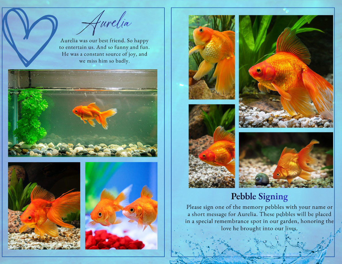 Photo collage layout featuring multiple images of a goldfish in aquarium settings, paired with a Pebble Signing section inviting guests to leave messages in remembrance.