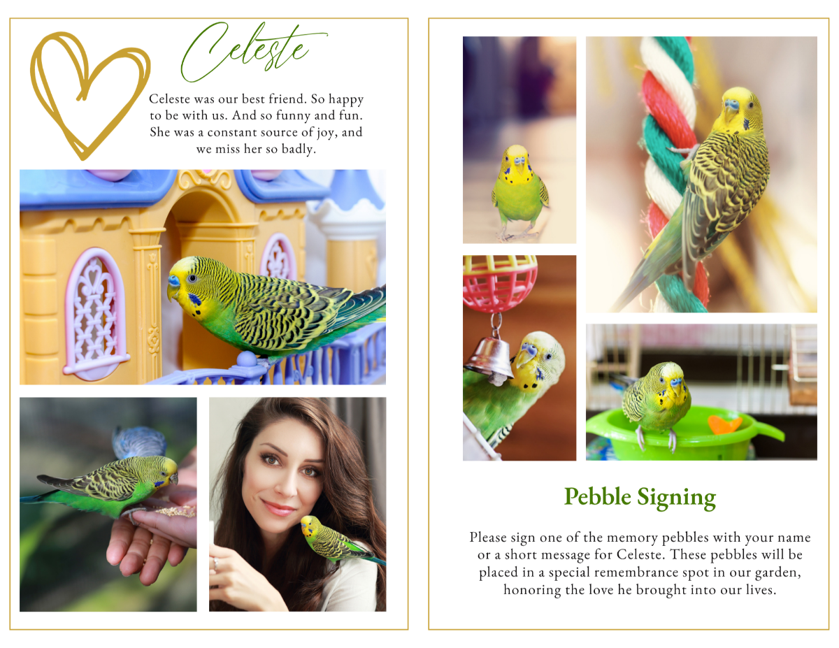 Photo collage pages featuring treasured bird photographs, family reflections, and meaningful remembrance activities created to celebrate a feathered companion’s life.