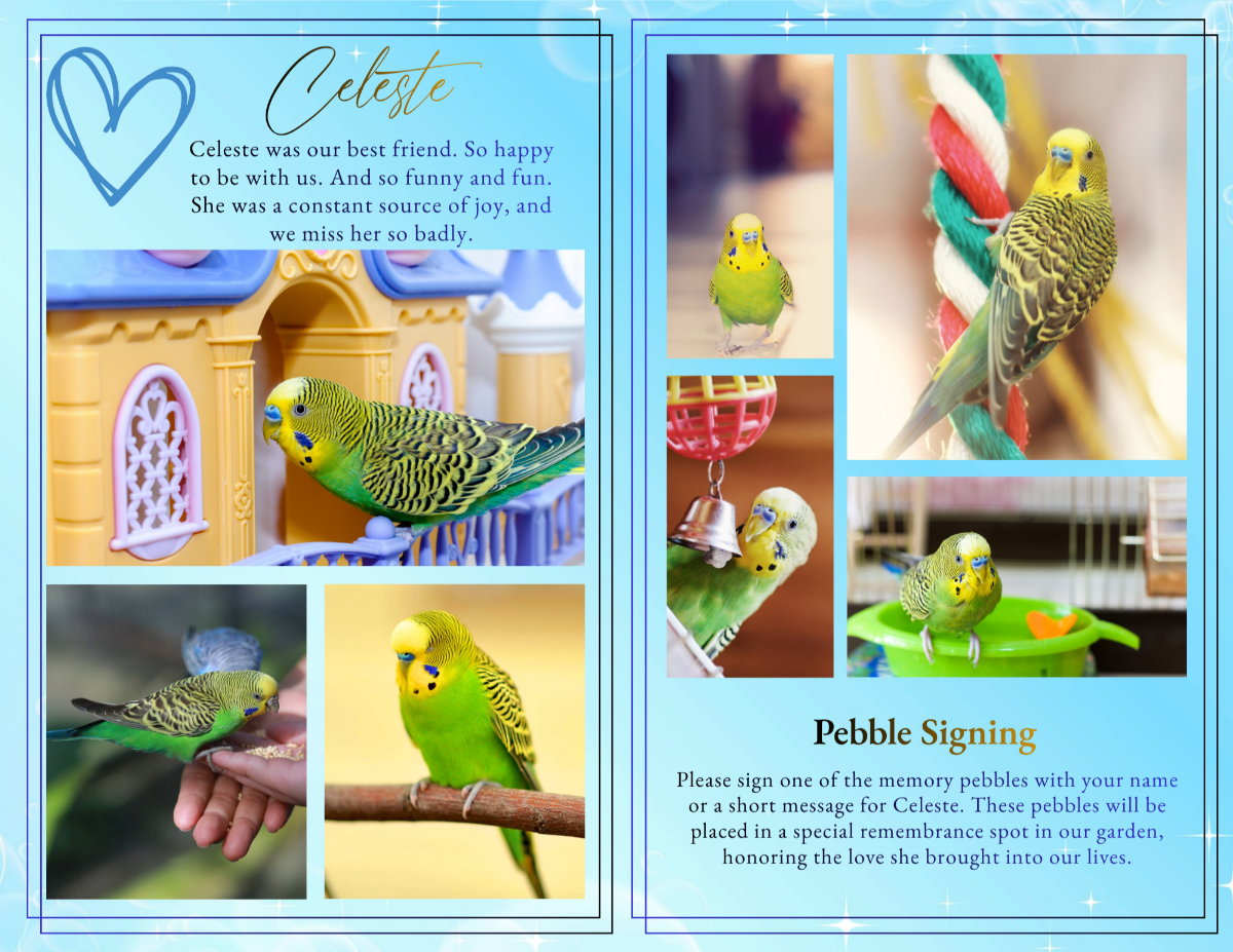 Photo collage tribute spread featuring multiple images of a green budgie arranged on a soft watercolor sky background, with gentle light effects symbolizing peace, freedom, and loving remembrance.