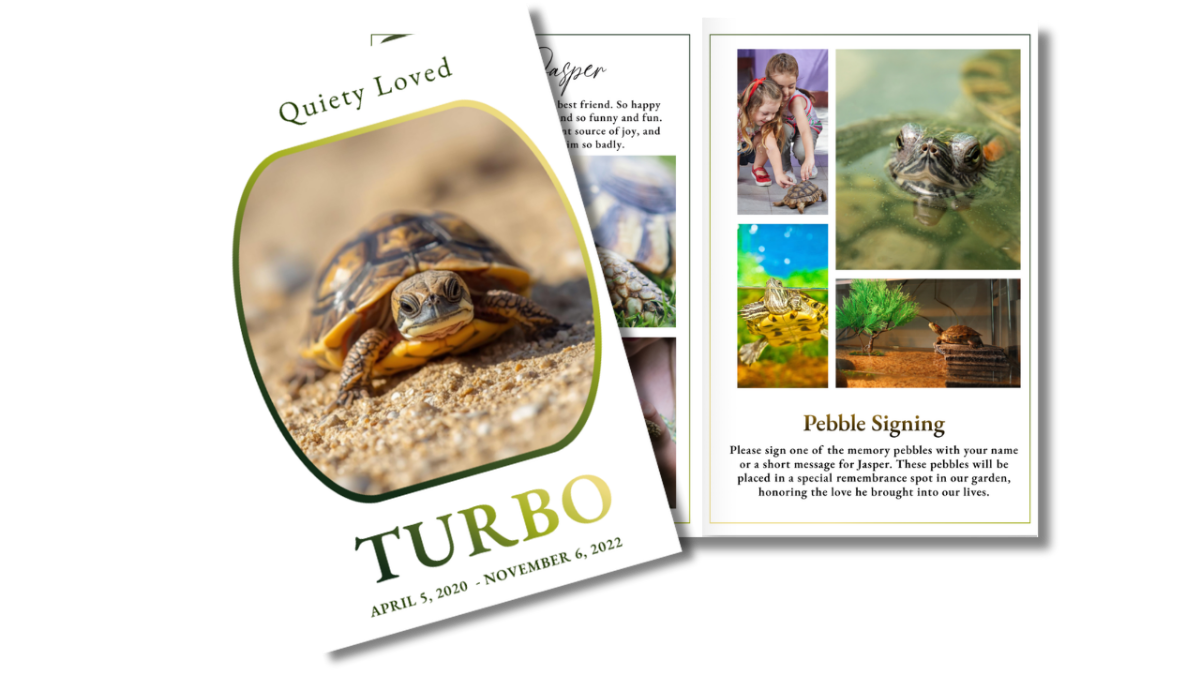 Pet reptile funeral program front cover with turtle image alongside open interior pages showing photo collage layouts with natural tones and clean spacing.