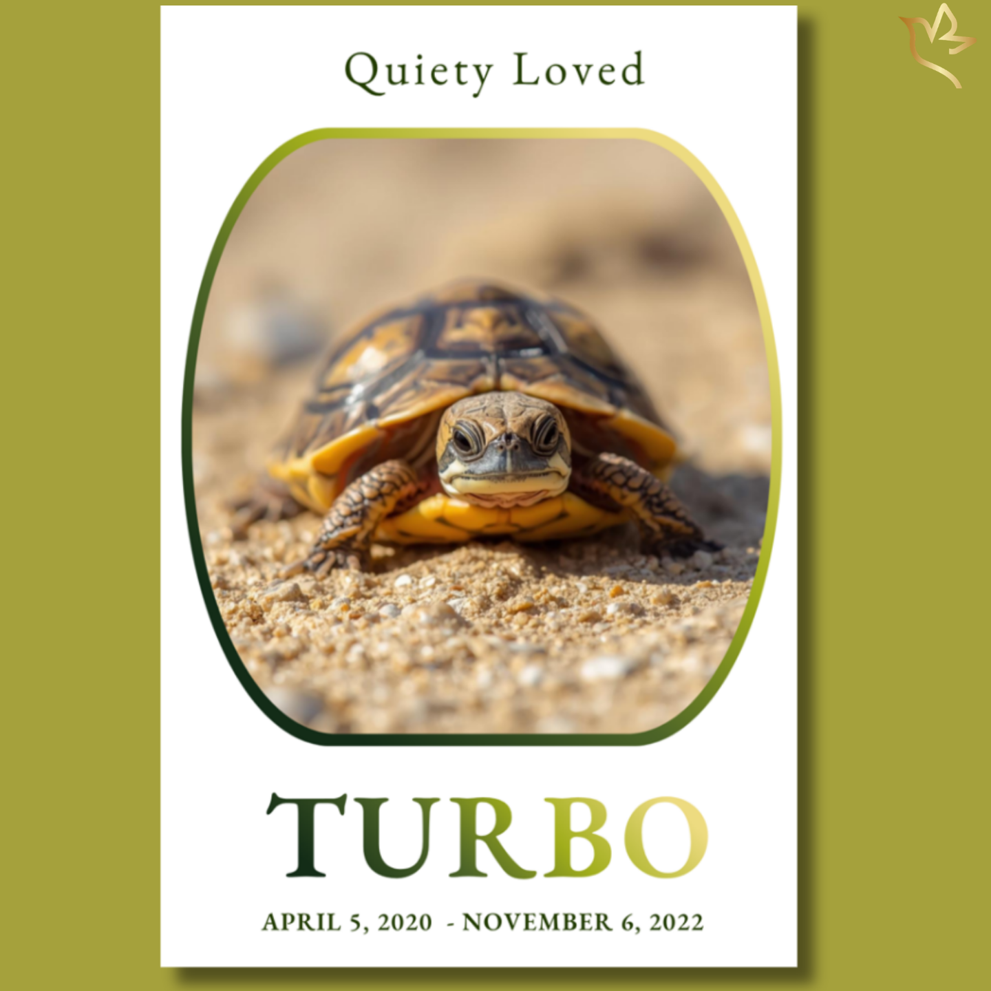 Pet reptile memorial funeral program cover featuring a soft neutral background, rounded frame with a turtle, green and gold accents, and elegant typography in a calm, minimalist design.
