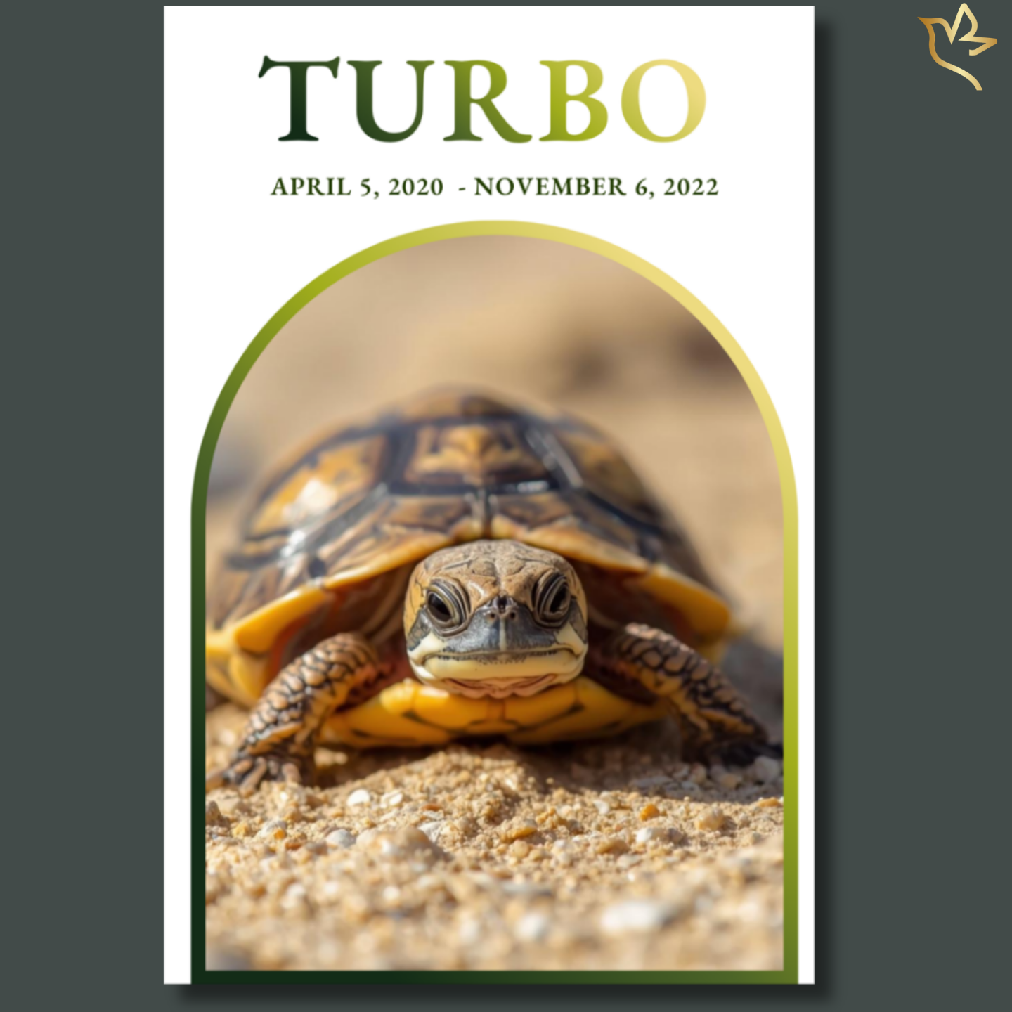 A peaceful pet memorial program cover featuring a gentle turtle resting on warm sand, framed with soft green and golden accents that create a calm and nature-inspired tribute for a beloved reptile companion.