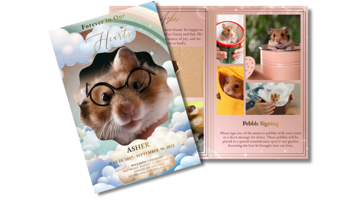 Full program layout displaying front cover and interior pages together, showing cohesive rainbow sky theme across obituary, poem, tribute, and photo collage spreads.