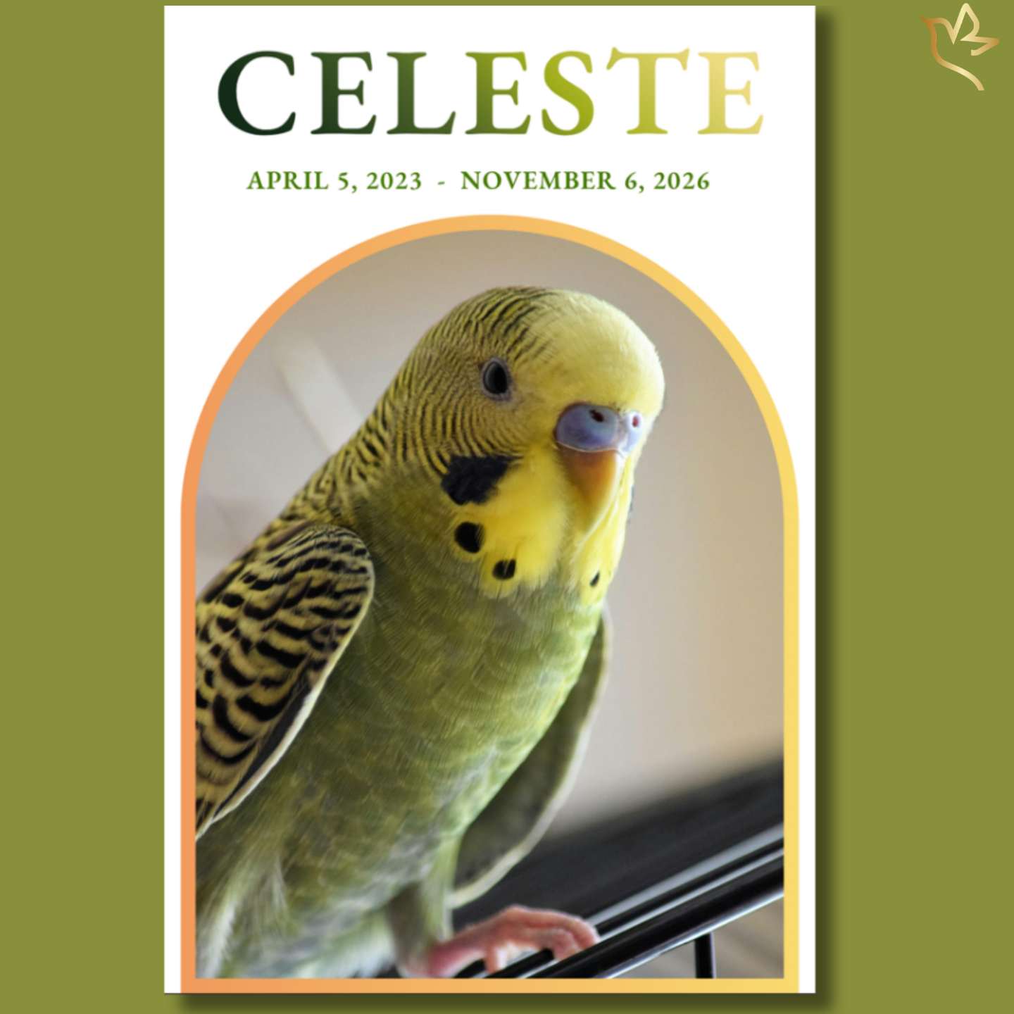 A peaceful pet bird memorial program cover featuring a yellow and green budgie framed in soft gold and green accents, designed to honor the joyful spirit and gentle companionship of a beloved feathered friend.