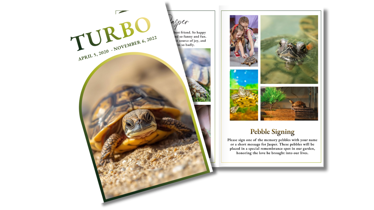 Front cover featuring a peaceful turtle portrait paired with coordinated memorial interior pages designed with soft green accents and gentle nature-inspired styling.