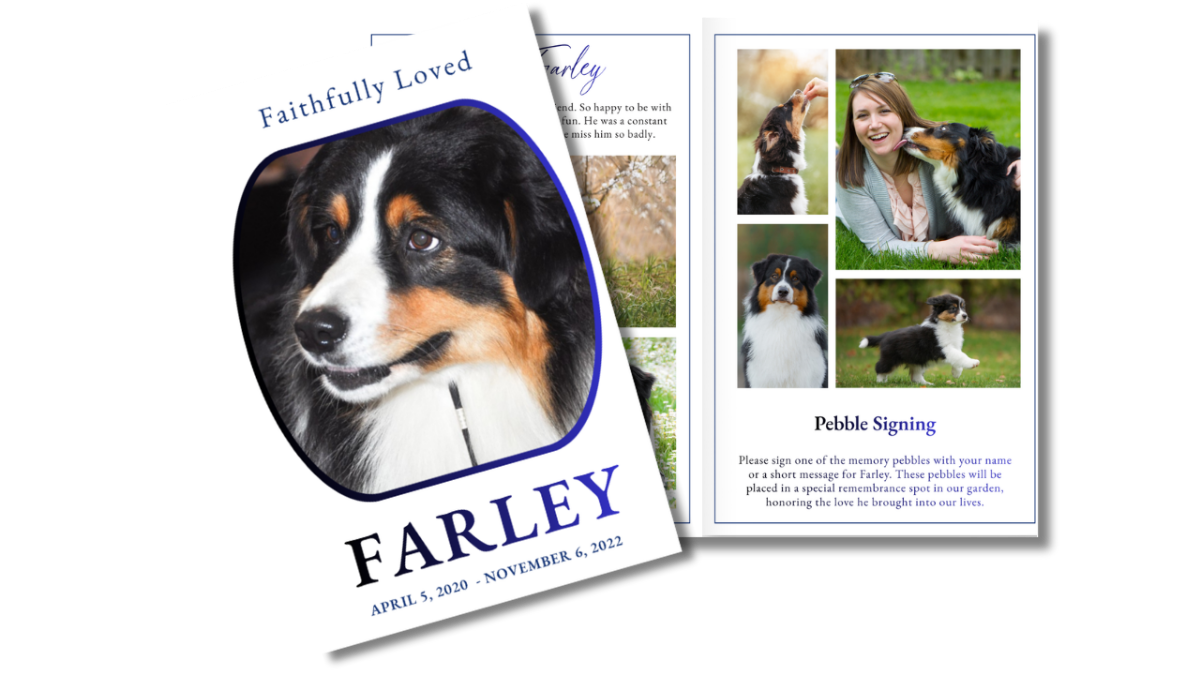 Front cover and interior layout displaying a soft neutral background, blue accent borders, rounded portrait frame, and clean structured pages for a comforting memorial presentation.