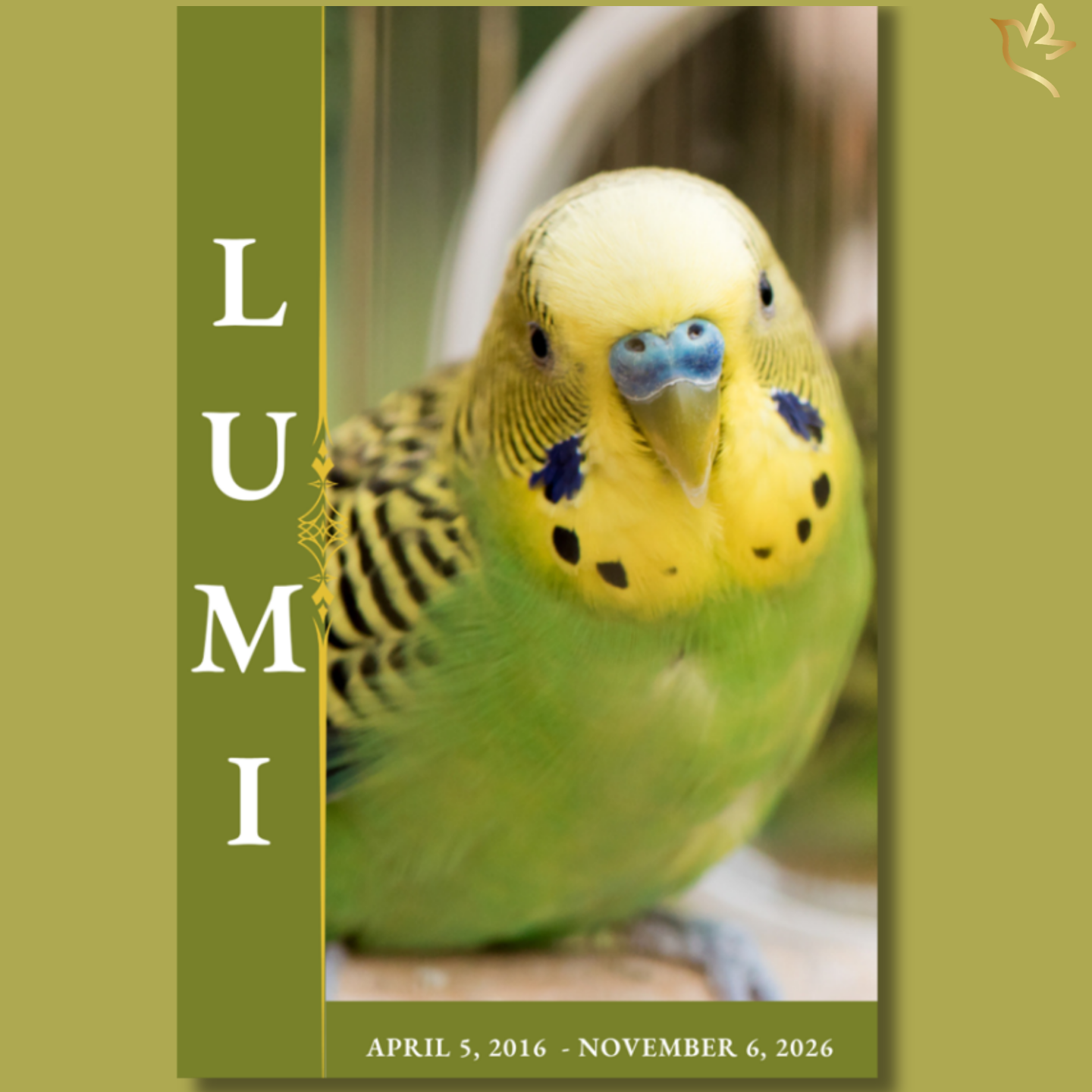 Pet bird funeral program cover featuring a bright green and yellow parakeet with soft lighting, paired with elegant vertical name typography and warm golden tones.