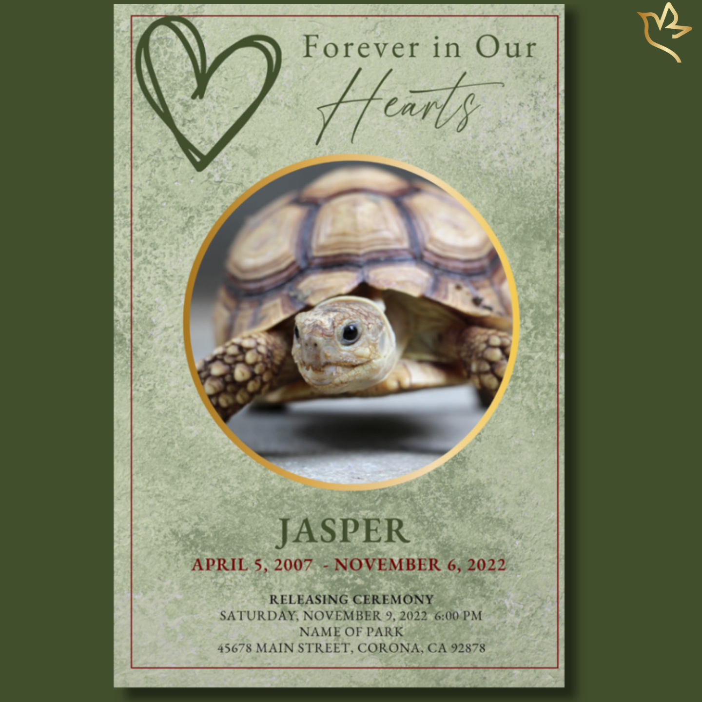 Front cover of soft green pet funeral program titled “Scales of Love,” featuring a tortoise portrait framed in gold, textured sage background, and heartfelt memorial details.